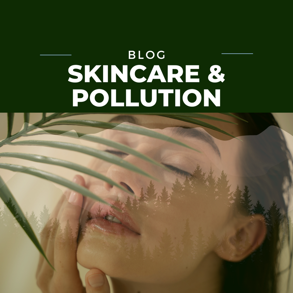 Navigating Skin Health: Unveiling the Hidden Impact of Pollution