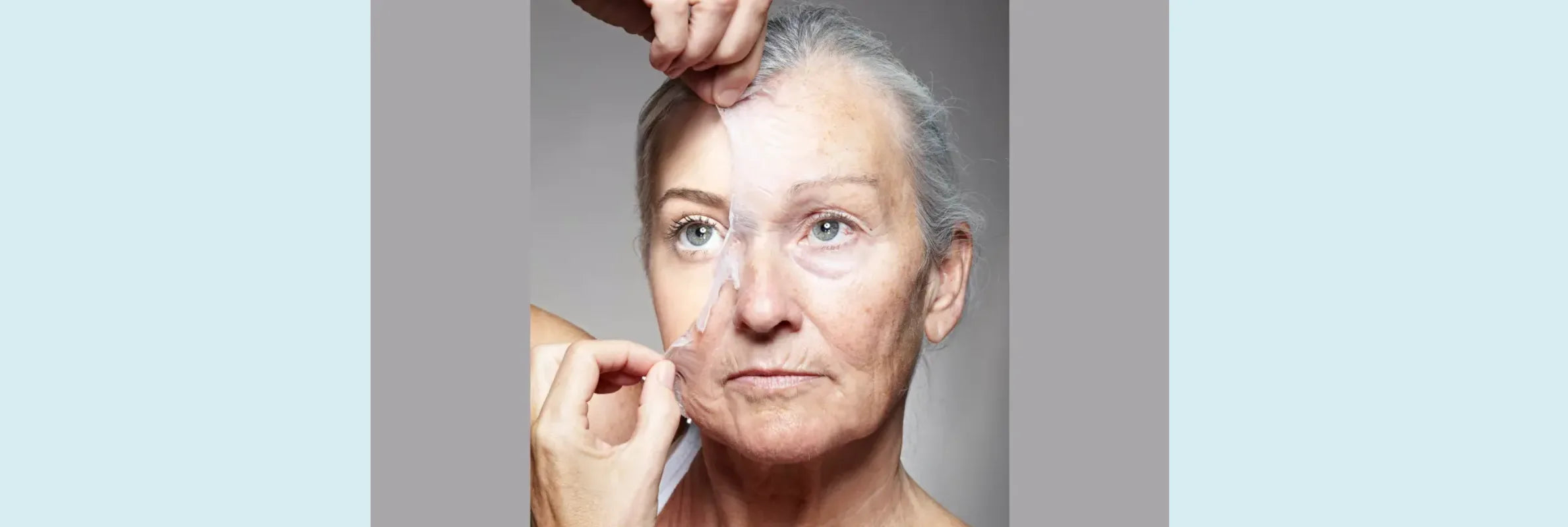 What Is Cellular Turnover and How Does It Help Aging?